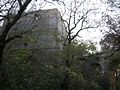 Ruins of the Castle of Klevan