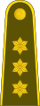 Kapitonas[9] (Lithuanian Land Forces)