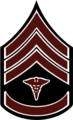 Rank insignia for Sergeant First Class, 1902–1909.