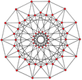 (14 14 11)(3), has 56 vertices, 168 edges and 84 square faces, seen in this 14-gonal projection.