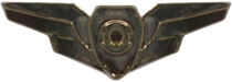 AEW&C Operator's Badge