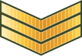 ސާރޖަންޓް Saarjant (Maldives National Defence Force)[62]