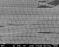 Bundle of segmented platinum nanowires