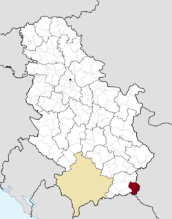 Location of the municipality of Bosilegrad within Serbia