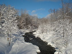 View of the North Branch of the Salmon River after a fresh snowfall, north of Redfield, in the Tug Hill region of New York.