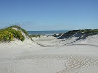 Dunes at the beach
