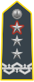 Divisional General (Major-General, temporary Lieutenant-General).