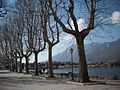 View of Lake Como from Lecco.