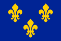 The Royal Banner of France or "Bourbon Flag".