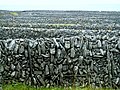 Dry stone, Feidin walls, Inisheer, Ireland