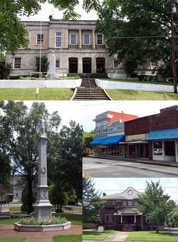 Clockwise, from top: Lee County Courthouse, Marianna Commercial Historic District, Lee County Historical Museum, and the General Robert E. Lee Monument in City Park