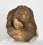 Carne altrui (Flesh of Others), 1883–84