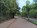 Pilikula Road leading to the Botanical Garden