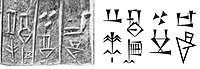 "The ships of Dilmun, from the foreign lands, brought him (Ur-Nanshe) wood as a tribute (?)" (𒈣𒆳𒋫𒄘𒄑𒈬-𒅅, ma2 dilmun kur-ta gu2 giš mu-gal2). Door socket of Ur-Nanshe.[22][23]