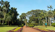 Teijsmann Garden at Bogor Botanical Garden.