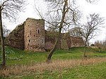 Ruins of Wilton Castle and House attached to South