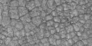 Close-up of high center polygons seen by HiRISE under HiWish program Troughs between polygons are easily visible in this view.