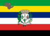 Flag of Jardinópolis