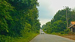 Sekayu-Belimbing road in PALI