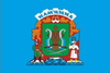Flag of Kamianka