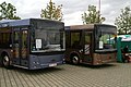MAZ-203 and MAZ-206 buses