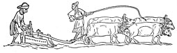 14th-century depiction of a plough-team, on which some carucages were assessed