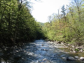 Chittenango Creek flowing away from the falls in May.