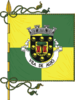 Flag of Alijó