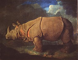Rhinoceros (ca. 1780-91), oil on canvas, 69.9 x 92.7 cm., private collection