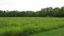 Scenery at the Wapello Land and Water Reserve
