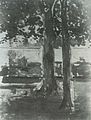 Édouard Manet: Bank unter Bäumen, 1882, Privatsammlung