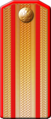Shoulder board Pokovnik IRA until 1917