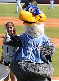 A person wearing a gray and white anthropomorphized seagull costume dressed in a light blue baseball jersey with a white "B" on the right chest on a baseball field.