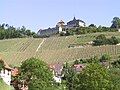Eberstein Castle with vineyard