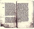 Handschriftenbuch 1320