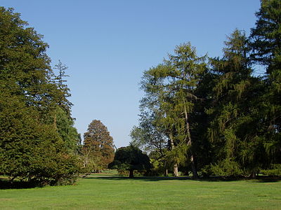 A view from the front park