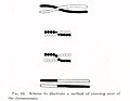 Image 29Thomas Hunt Morgan's illustration of crossing over, part of the Mendelian-chromosome theory of heredity (from History of biology)