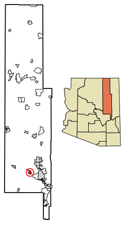 Location of Pinedale in Navajo County, Arizona.