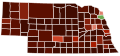 Image 23Map of counties in Nebraska by racial plurality, per the 2020 U.S. census Legend Non-Hispanic White   40–50%   50–60%   60–70%   70–80%   80–90%   90%+ Native American   60–70% (from Nebraska)