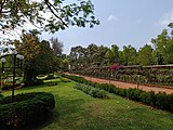 Pilikula Botanical Garden - Beside the walkway