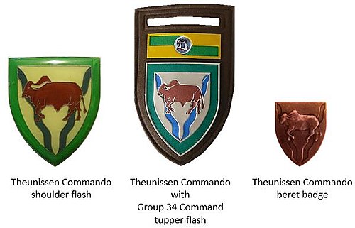 SADF era Theunissen Commando insignia