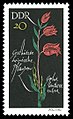 Briefmarke aus der Serie Geschützte heimische Pflanzen (DDR 1966)