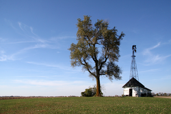 A windmill in southwestern West Point Township