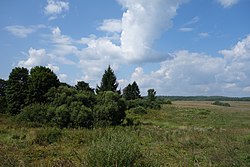 Forests and Fields, Novosokolnichesky District