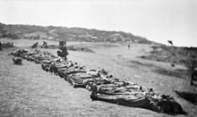 A black and white photograph of a line of bodies on the ground