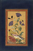 Finch, Poppies, Dragonfly, and Bee, Deccan, c. 1650–1670, opaque watercolor and gold on paper, Brooklyn Museum.