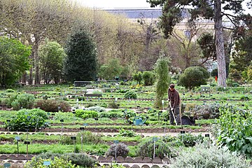 Garden of the School of Botany