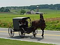 An Amish family in a traditional Amish buggy in the county