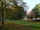 Western part of the common