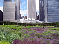 Lurie Garden in Chicago, United States, GGN & Piet Oudolf